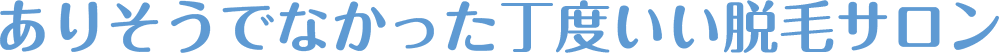 ありそうでなかった丁度いい脱毛サロン